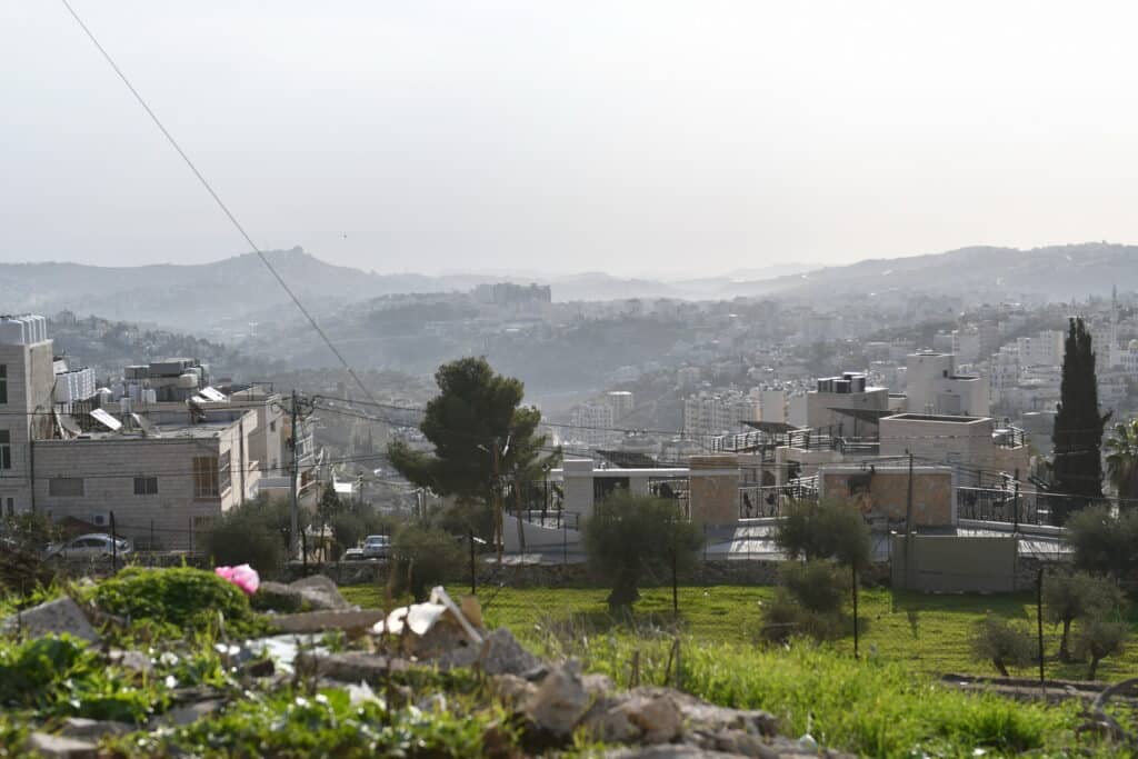 Planter un olivier, une vigne pour restaurer et résister !