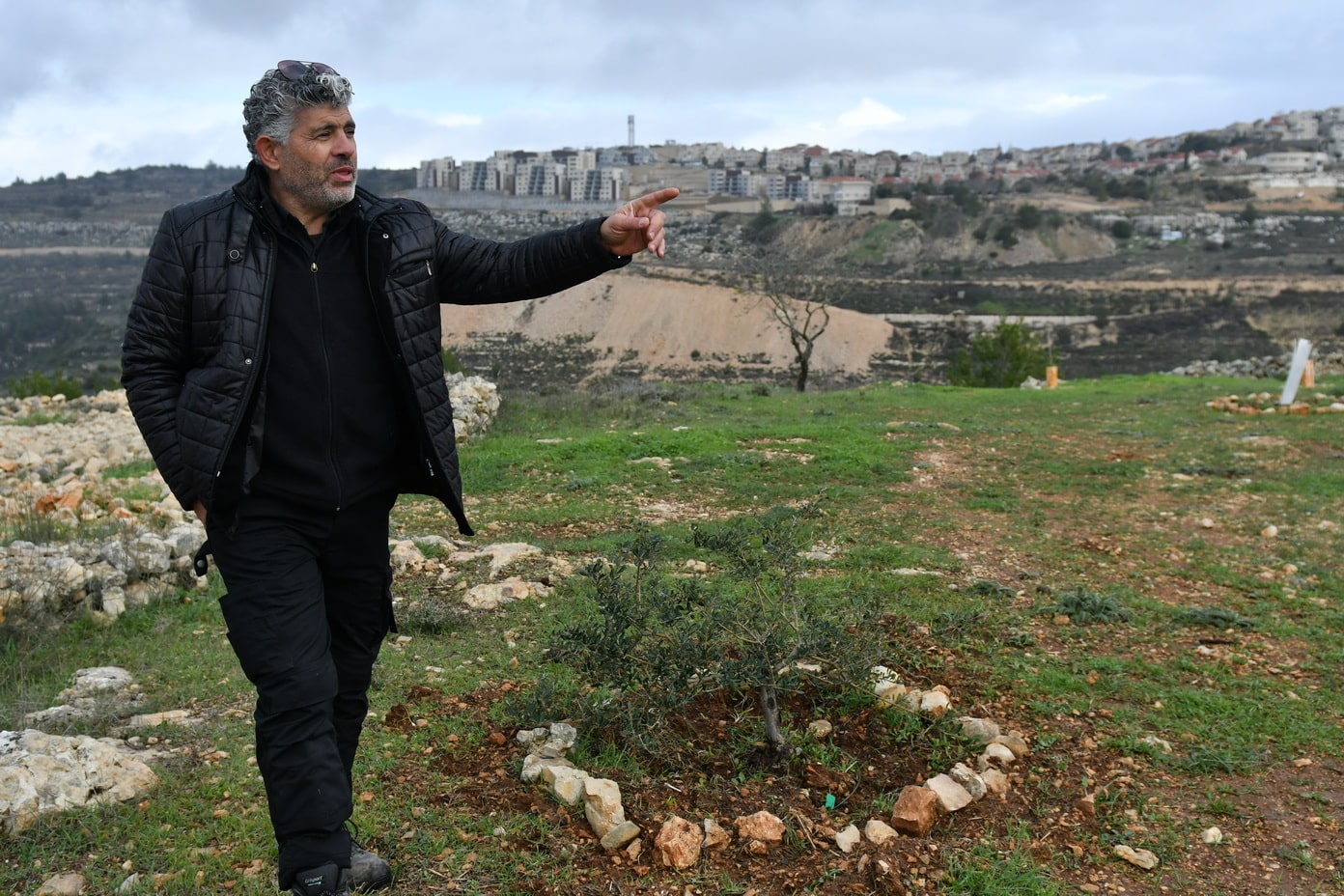 Planter un olivier, une vigne pour restaurer et résister !