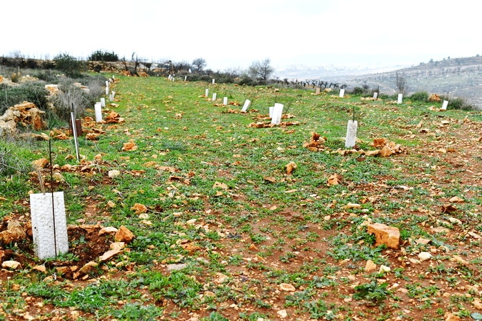 La Tente des Nations – Message de Pâques